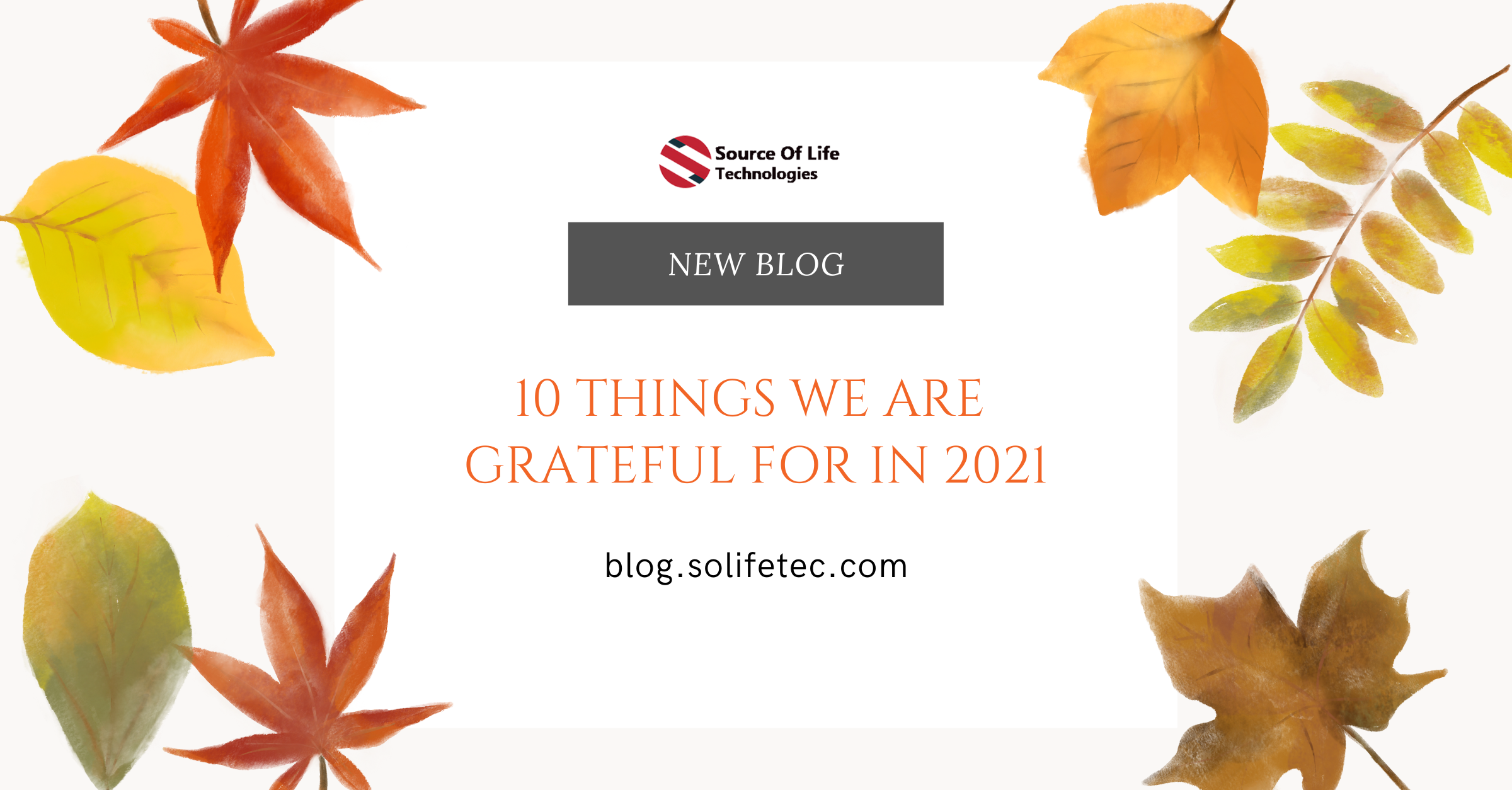 10 Things We Are Grateful For In 2021